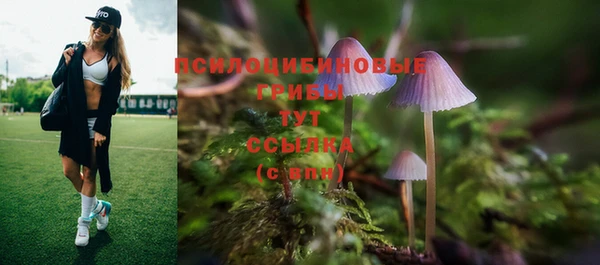 метамфетамин Ладушкин