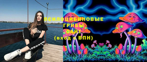 гидра Лабытнанги