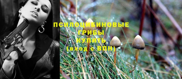 гидра Лабытнанги