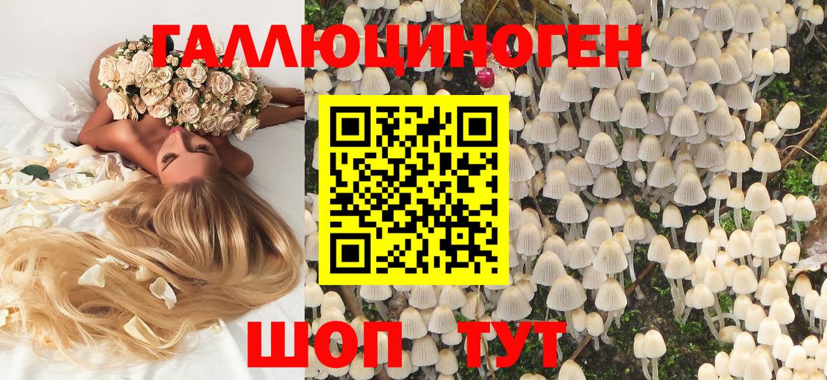 купить  цена  Псилоцибиновые грибы мухоморы  Южноуральск  Псилоцибиновые грибы Psilocybine cubensis 