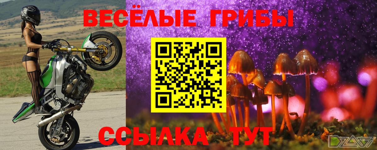 Галлюциногенные грибы GOLDEN TEACHER Южноуральск