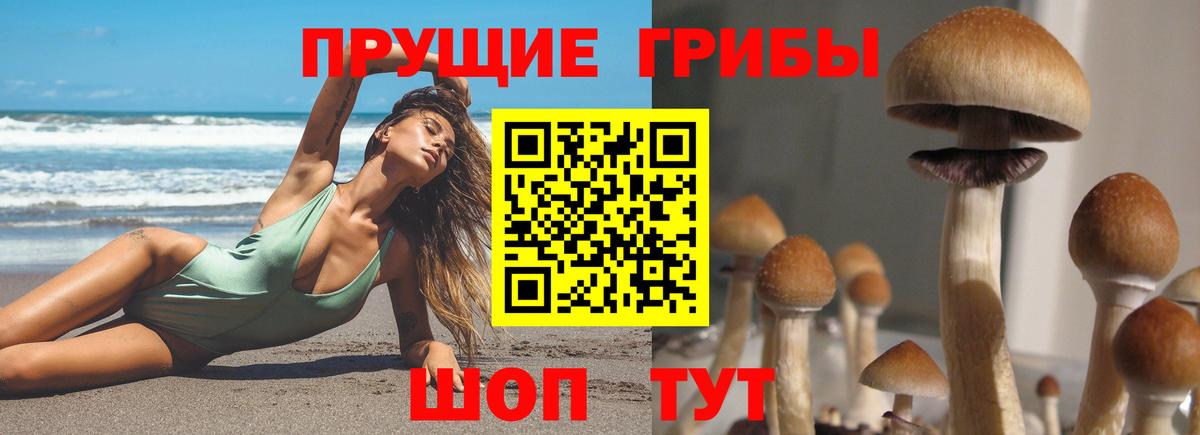 Псилоцибиновые грибы мухоморы  Вход с VPN  Южноуральск 